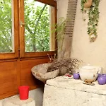 House With A Parking Space Zrnovo, Korcula - 10030 別荘 *