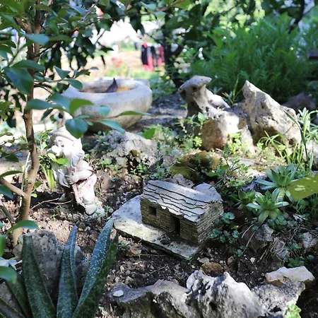 House With A Parking Space Zrnovo, Korcula - 10030 Holiday home *