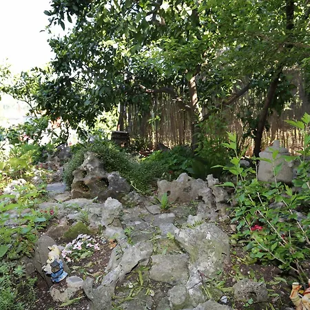 House With A Parking Space Zrnovo, Korcula - 10030 Holiday home Zrnovo